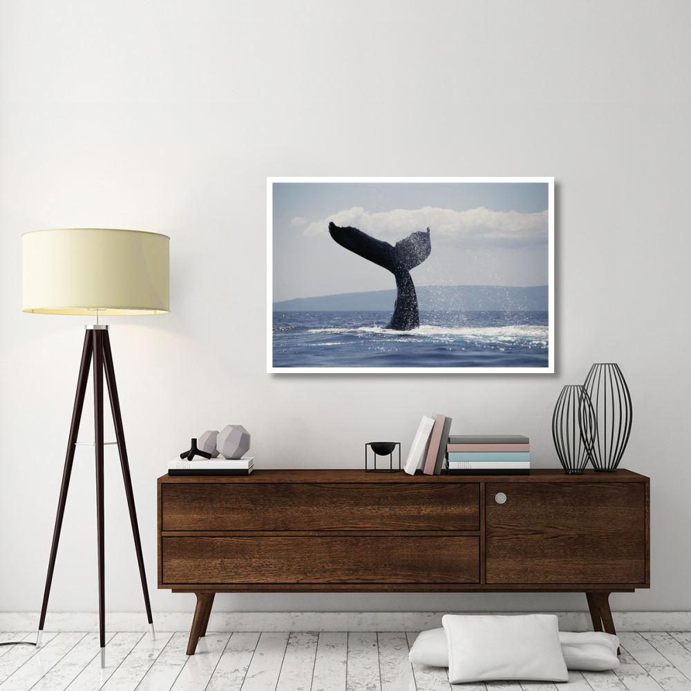 Humpback Whale tail lobs, Maui, Hawaii-Paper Art-50&quotx34"