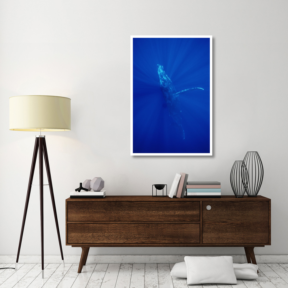 Humpback Whale , Maui, Hawaii-Paper Art-34&quotx50"