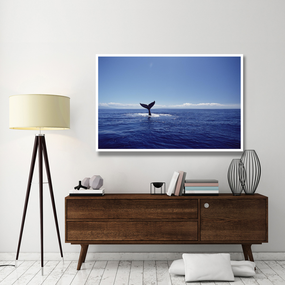 Humpback Whale tail lob, Maui, Hawaii-Paper Art-62&quotx42"