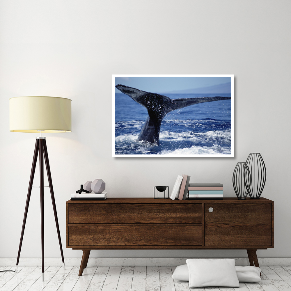 Humpback Whale whale tail, Maui, Hawaii-Paper Art-50&quotx34"
