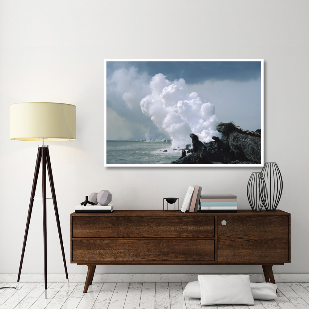 Marine Iguanas with steam from lava flowing into sea, Galapagos Islands, Ecuador-Paper Art-62&quotx42"