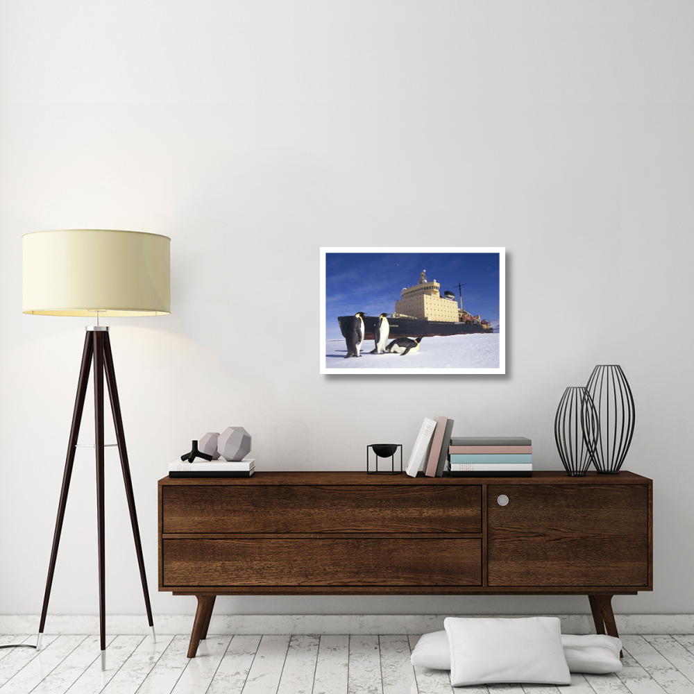 Emperor Penguin trio and Russian icebreaker parked in fast ice, Antarctica-Paper Art-32&quotx22"