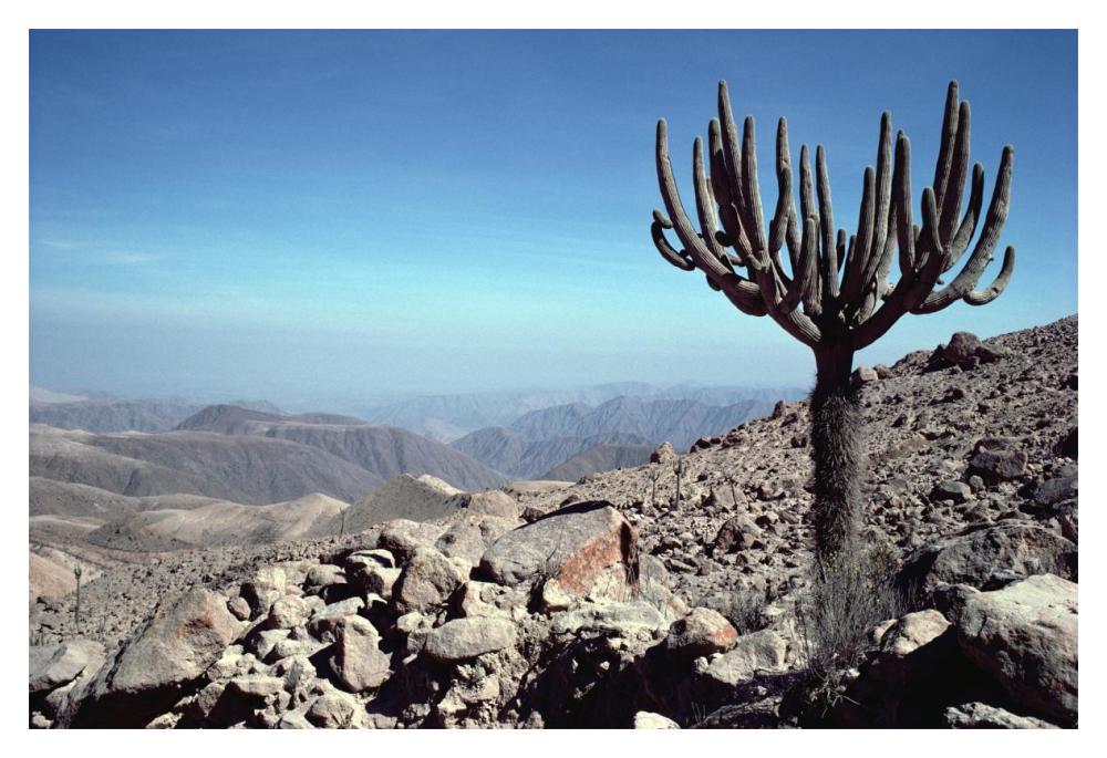 Atacama Desert located at foothills of the Andes, driest region in the world, Peru-Paper Art-20"x14"