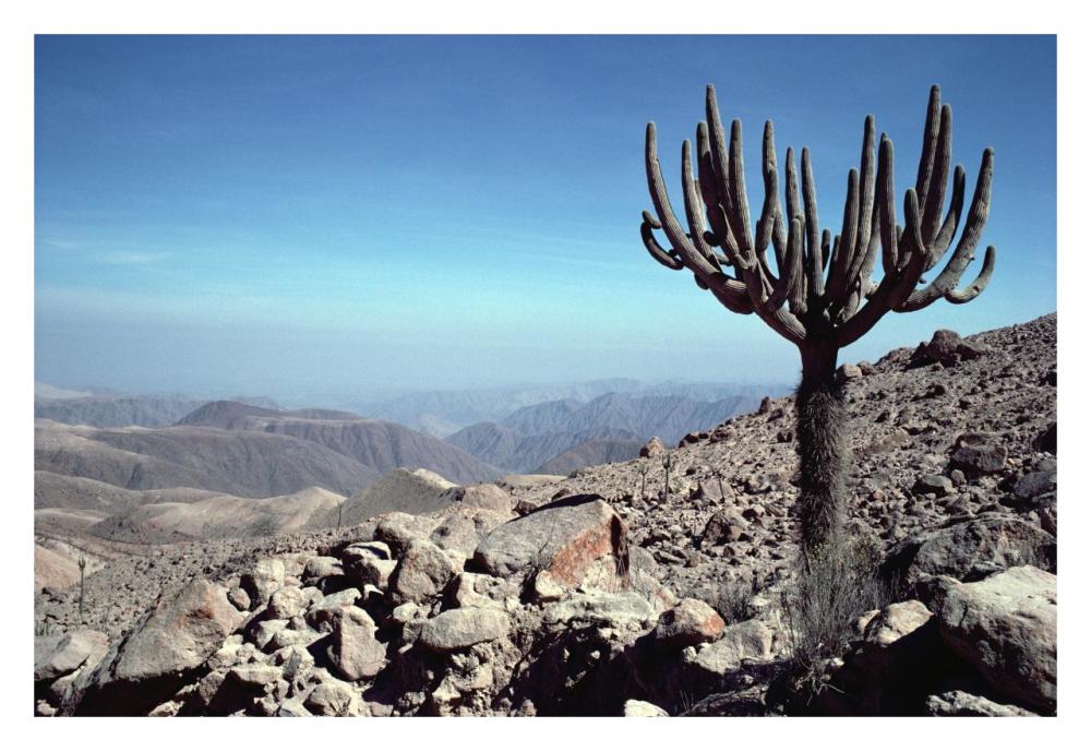 Atacama Desert located at foothills of the Andes, driest region in the world, Peru-Paper Art-32"x22"