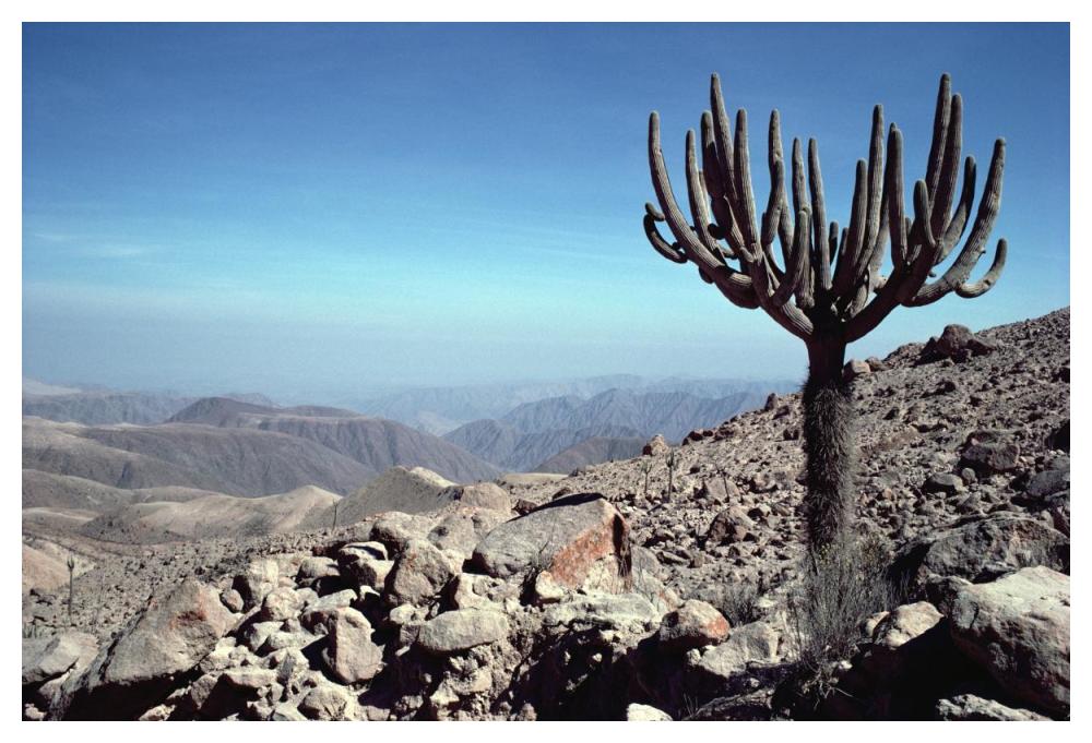 Atacama Desert located at foothills of the Andes, driest region in the world, Peru-Paper Art-50"x34"