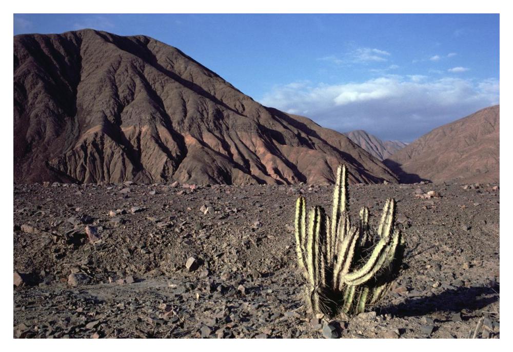 Atacama Desert located at foothills of the Andes, driest region in the world, Peru-Paper Art-20"x14"