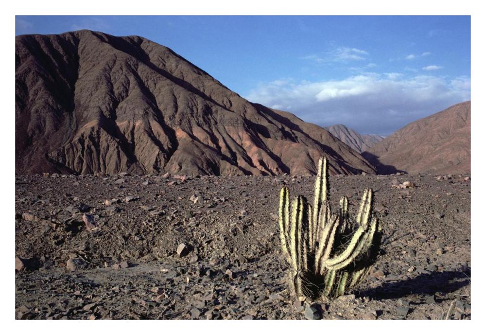 Atacama Desert located at foothills of the Andes, driest region in the world, Peru-Paper Art-32"x22"