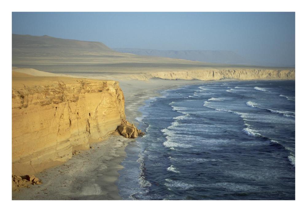 Atacama Desert, sea cliffs and Pacific Ocean, Paracas Peninsula, Peru-Paper Art-26"x18"