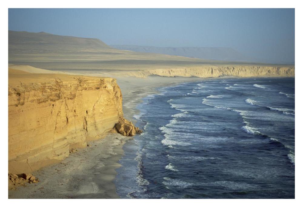 Atacama Desert, sea cliffs and Pacific Ocean, Paracas Peninsula, Peru-Paper Art-38"x26"