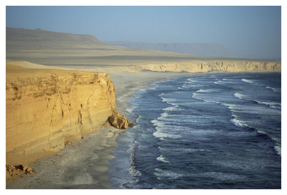 Atacama Desert, sea cliffs and Pacific Ocean, Paracas Peninsula, Peru-Paper Art-50"x34"