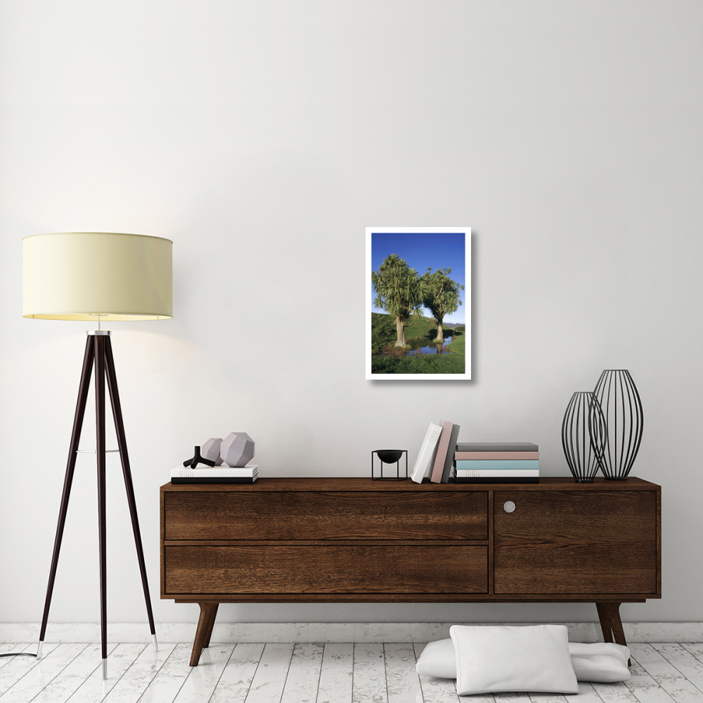 Cabbage Tree pair, Puponga Farm Park, West Coast, New Zealand-Paper Art-18&quotx26"