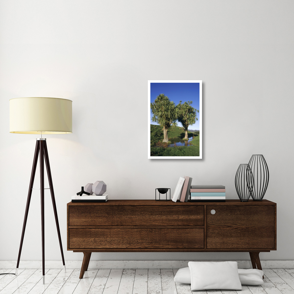 Cabbage Tree pair, Puponga Farm Park, West Coast, New Zealand-Paper Art-22&quotx32"