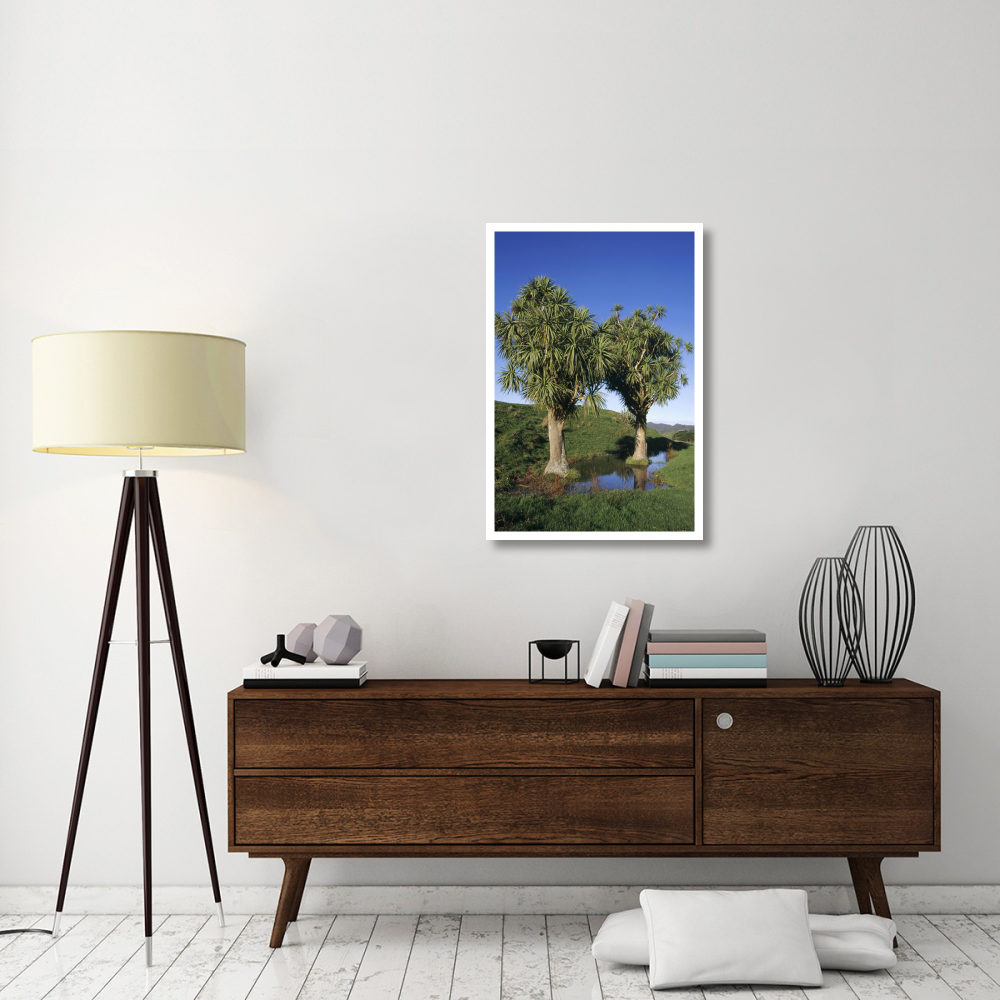 Cabbage Tree pair, Puponga Farm Park, West Coast, New Zealand-Paper Art-26&quotx38"