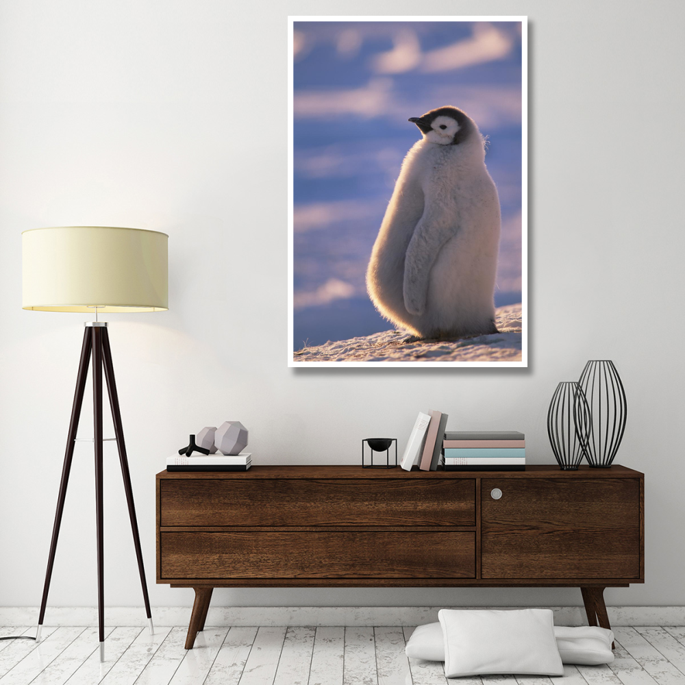 Emperor Penguin chick, Princess Martha Coast, Weddell Sea, Antarctica-Paper Art-42&quotx62"