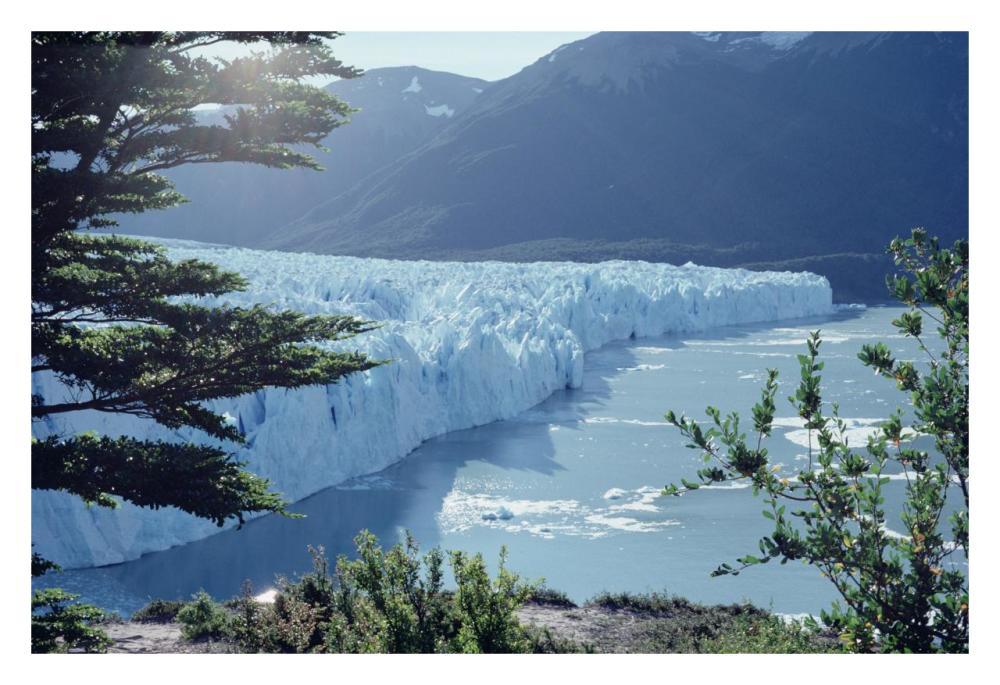 Petit Moreno Glacier dropping into Lago Argentino, Los Glaciares NP, Argentina-Paper Art-32"x22"