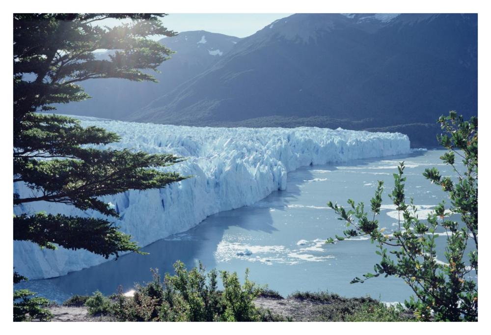 Petit Moreno Glacier dropping into Lago Argentino, Los Glaciares NP, Argentina-Paper Art-38"x26"