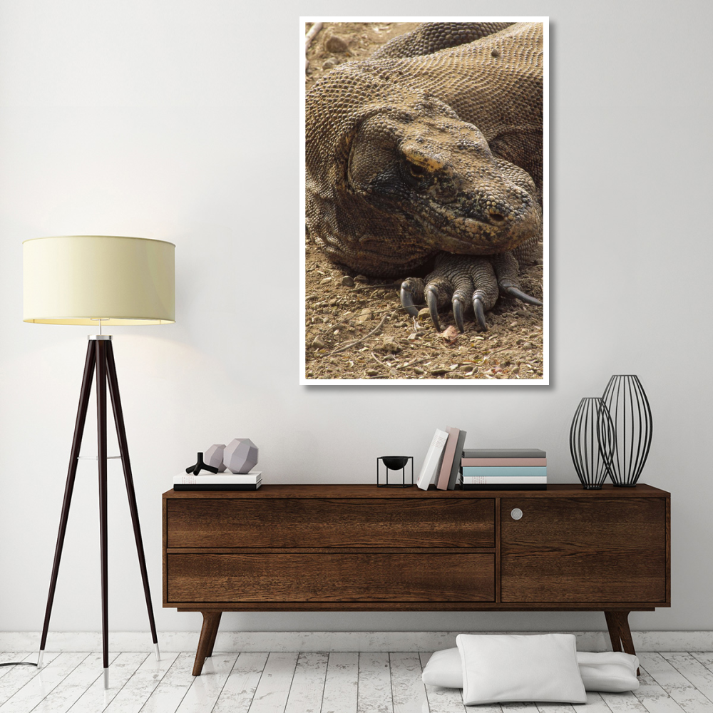 Komodo Dragon male basking, Komodo NP, Komodo Island, Indonesia-Paper Art-42&quotx62"