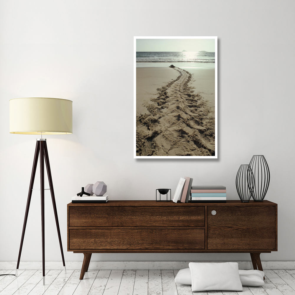 Green Sea Turtle returning to the sea after nesting, Turtle Bay, Galapagos-Paper Art-34&quotx50"