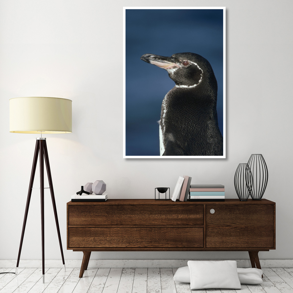 Galapagos Penguin, Bartolome Island, Galapagos Islands, Ecuador-Paper Art-42&quotx62"