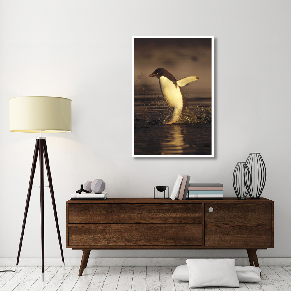 Adelie Penguin commuting, Cape Adare, Ross Sea, Antarctica-Paper Art-34&quotx50"