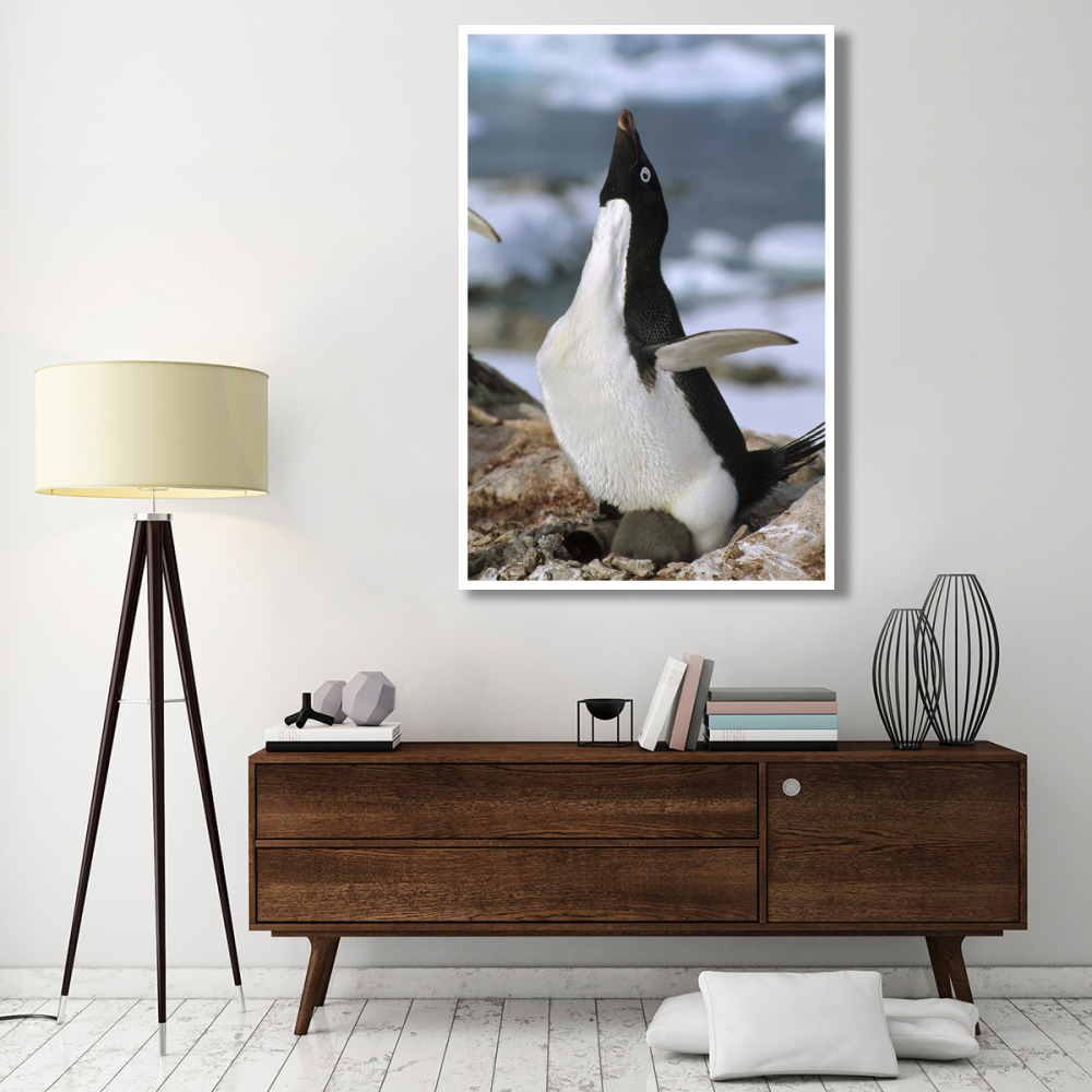 Adelie Penguin on nest with chicks, Petermann Island, Antarctica-Paper Art-42&quotx62"