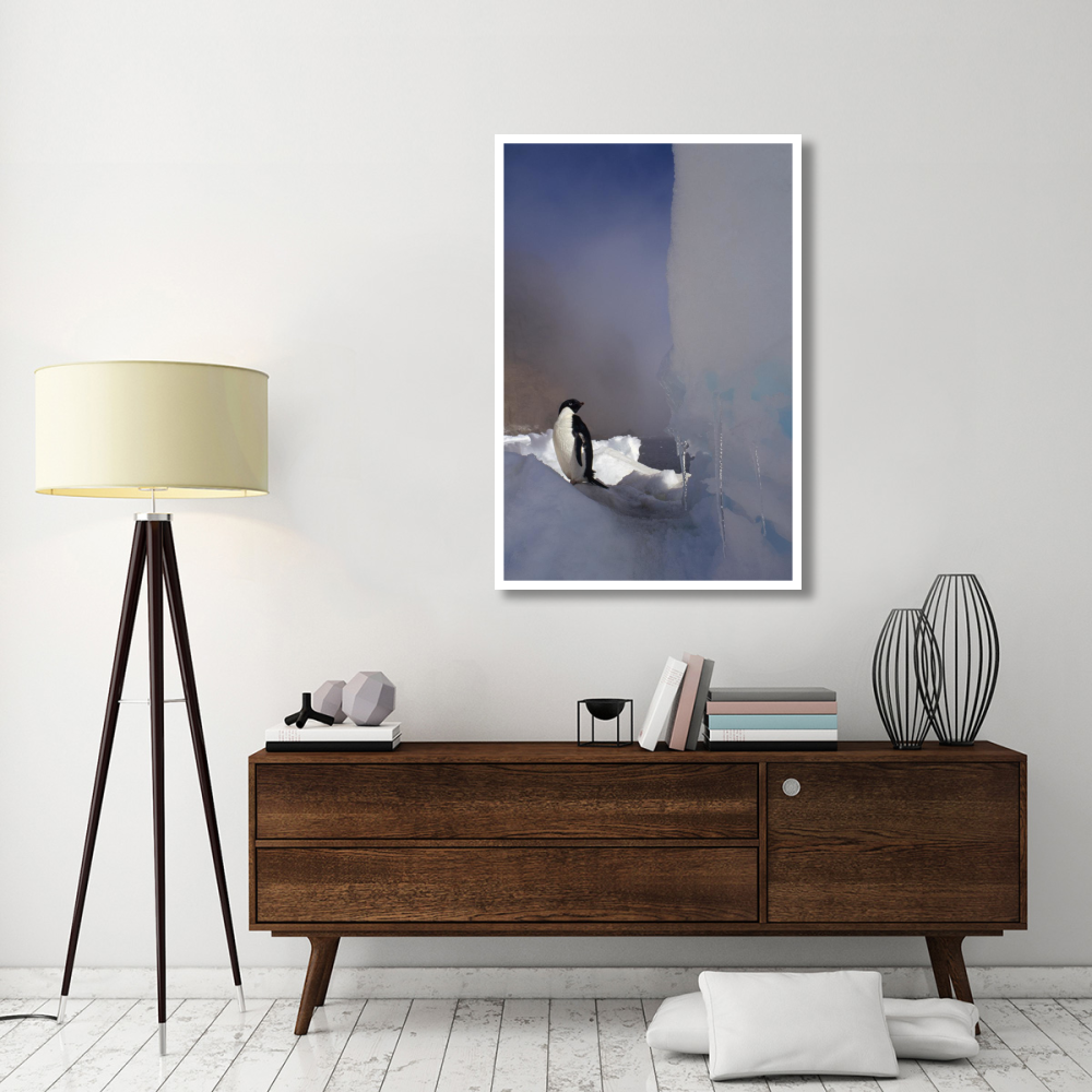 Adelie Penguin on sea ice, Possession Island, Antarctica-Paper Art-34&quotx50"