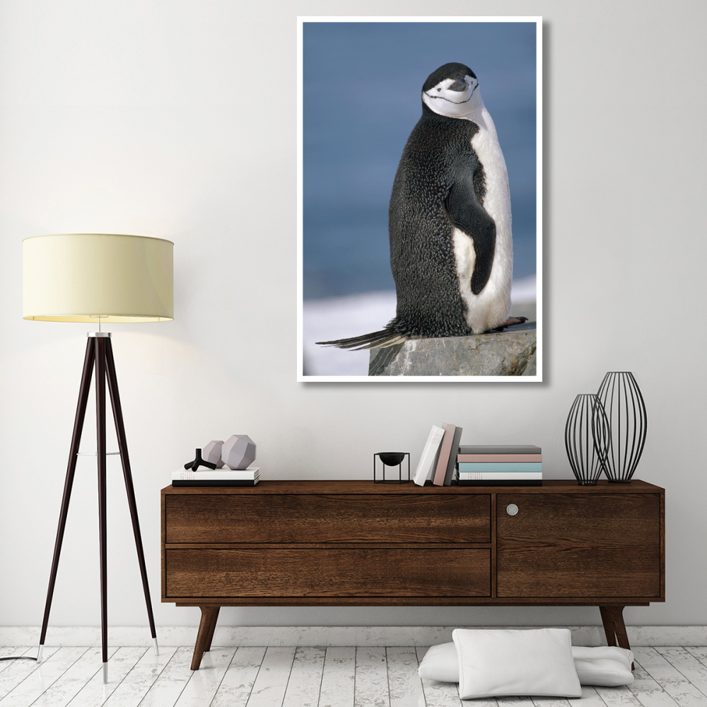 Chinstrap Penguin , Half Moon Island, South Shetland Islands, Antarctica-Paper Art-42&quotx62"