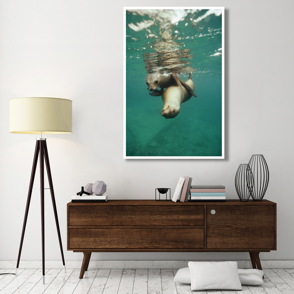 California Sea Lion juveniles playing, Sea of Cortez,  Mexico-Paper Art-42&quotx62"