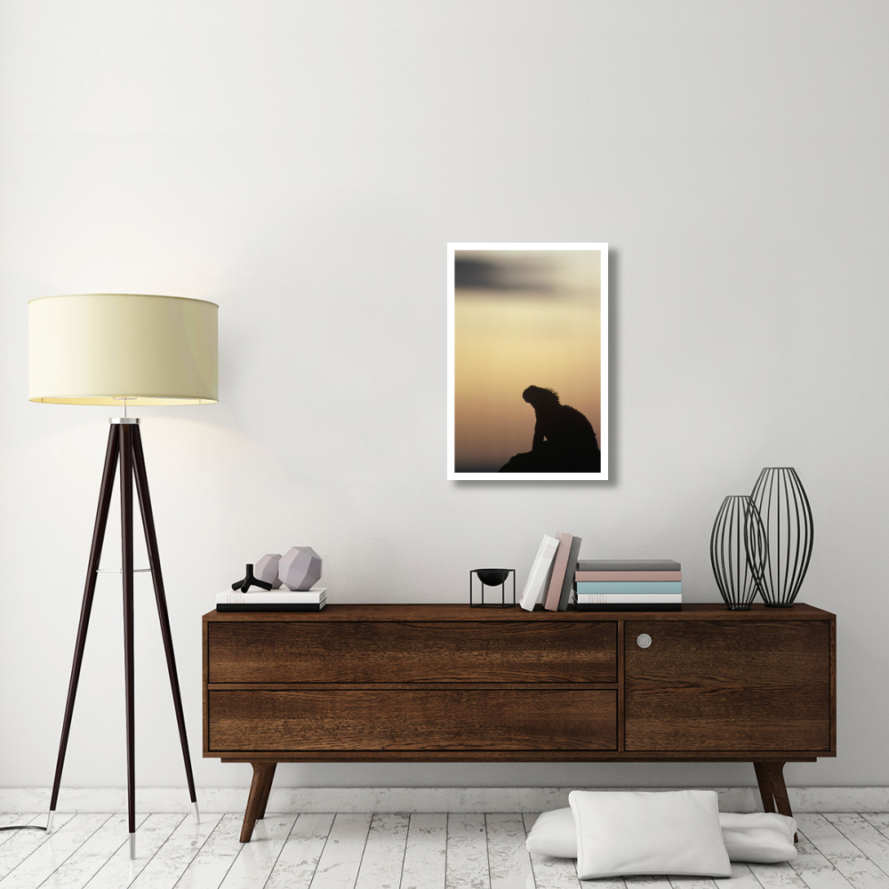 Marine Iguana silhouette Galapagos Islands, Ecuador-Paper Art-22&quotx32"