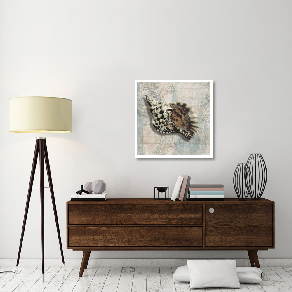 Sea Shell-Paper Art-32&quotx32"