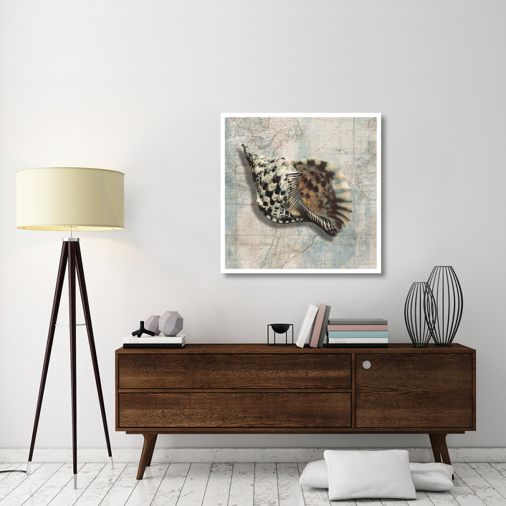 Sea Shell-Paper Art-38&quotx38"