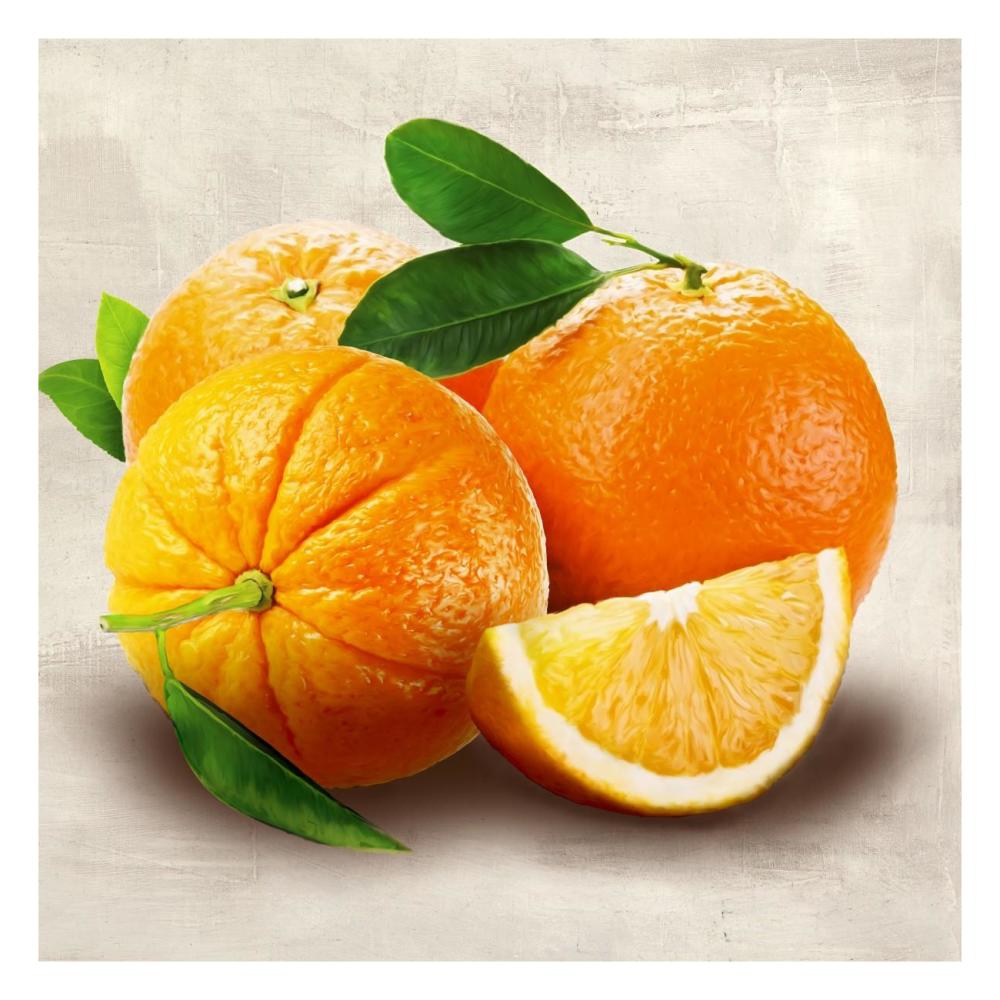 Oranges-Paper Art-26"x26"