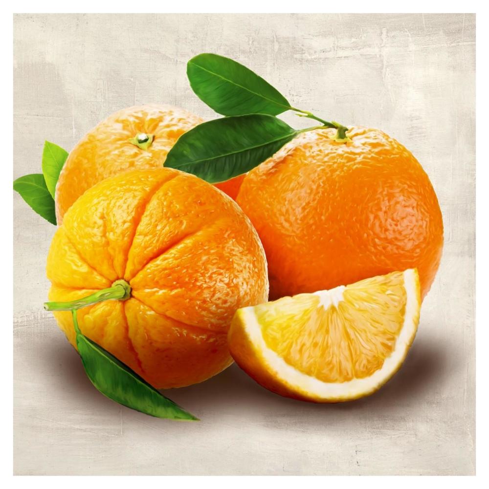 Oranges-Paper Art-38"x38"