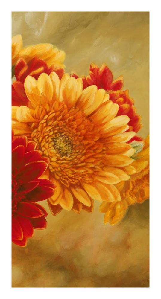 Gerbere nel sole III-Paper Art-14"x26"