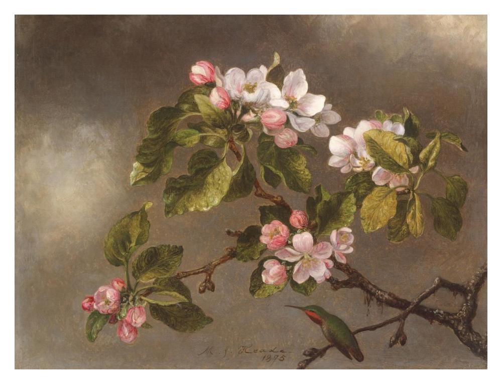 Hummingbird and Apple Blossoms-Paper Art-18"x14"