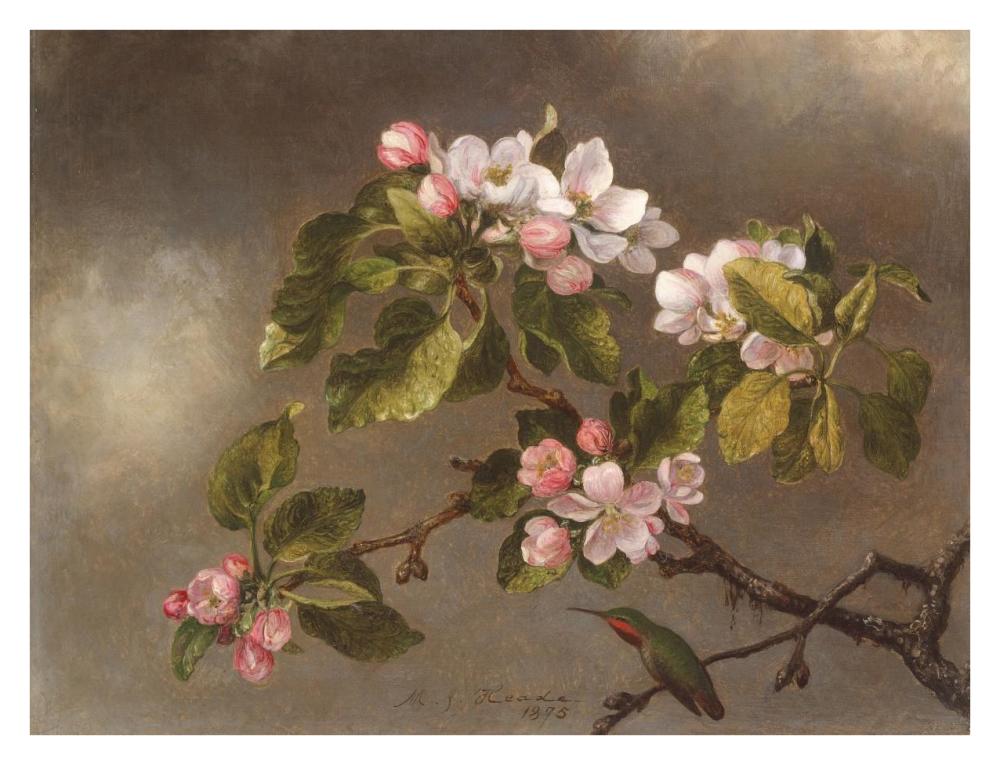 Hummingbird and Apple Blossoms-Paper Art-34"x26"