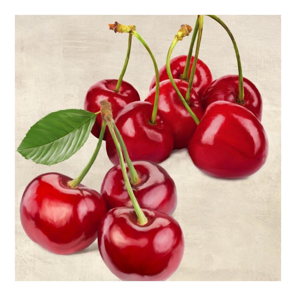 Cherries-Paper Art-20"x20"