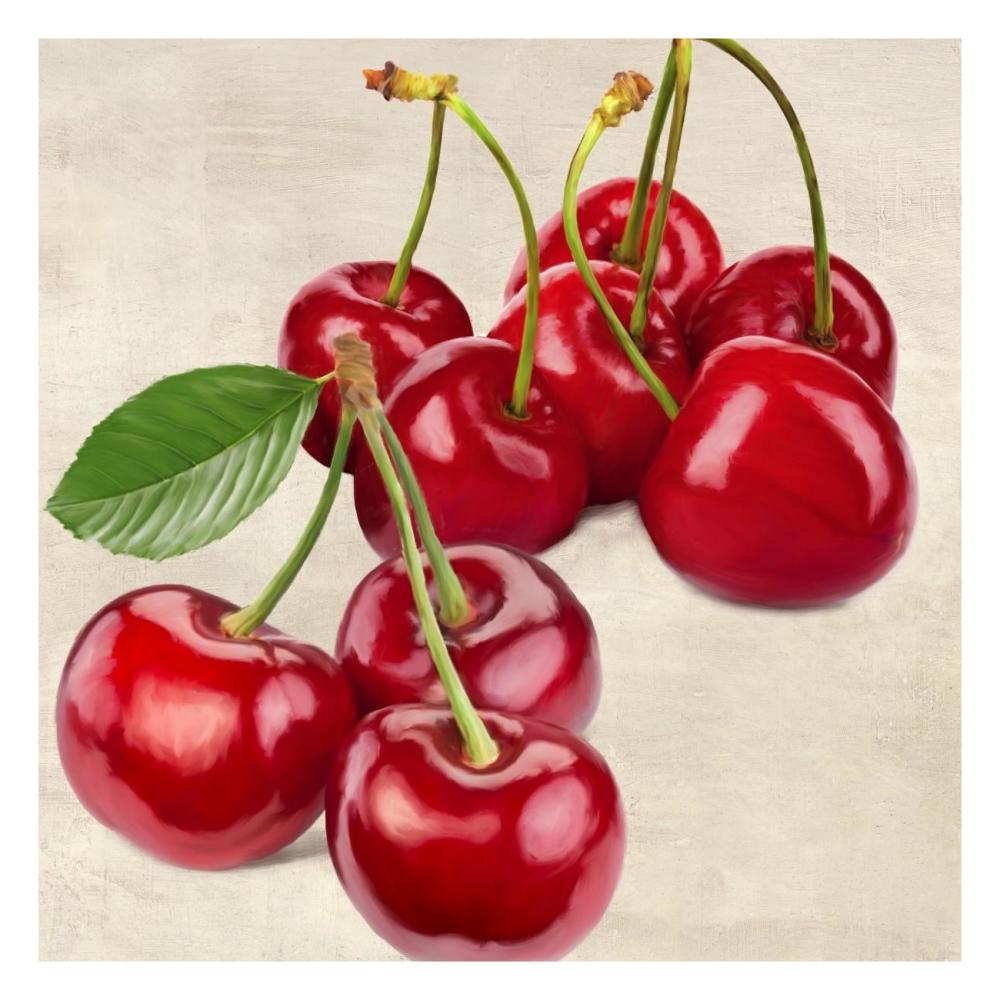 Cherries-Paper Art-26"x26"
