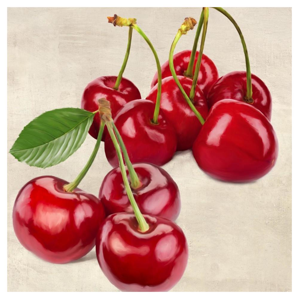 Cherries-Paper Art-42"x42"