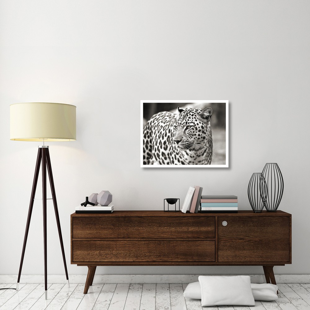 Portrait of leopard, South Africa-Paper Art-34&quotx26"