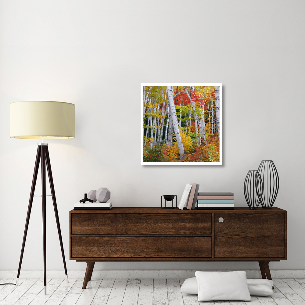Autumn in Shelburne Forest - Triptych Left-Paper Art-32&quotx32"
