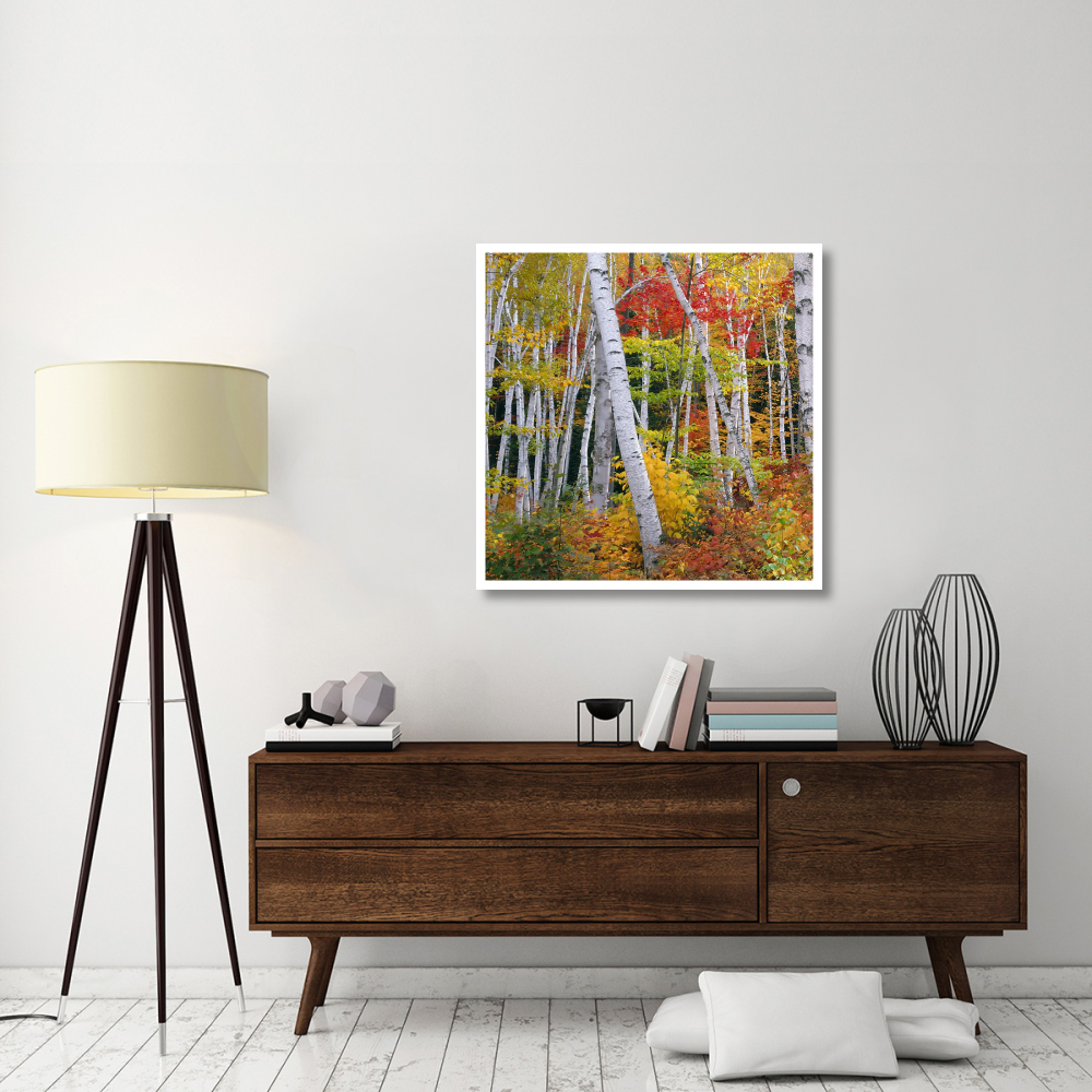 Autumn in Shelburne Forest - Triptych Left-Paper Art-38&quotx38"