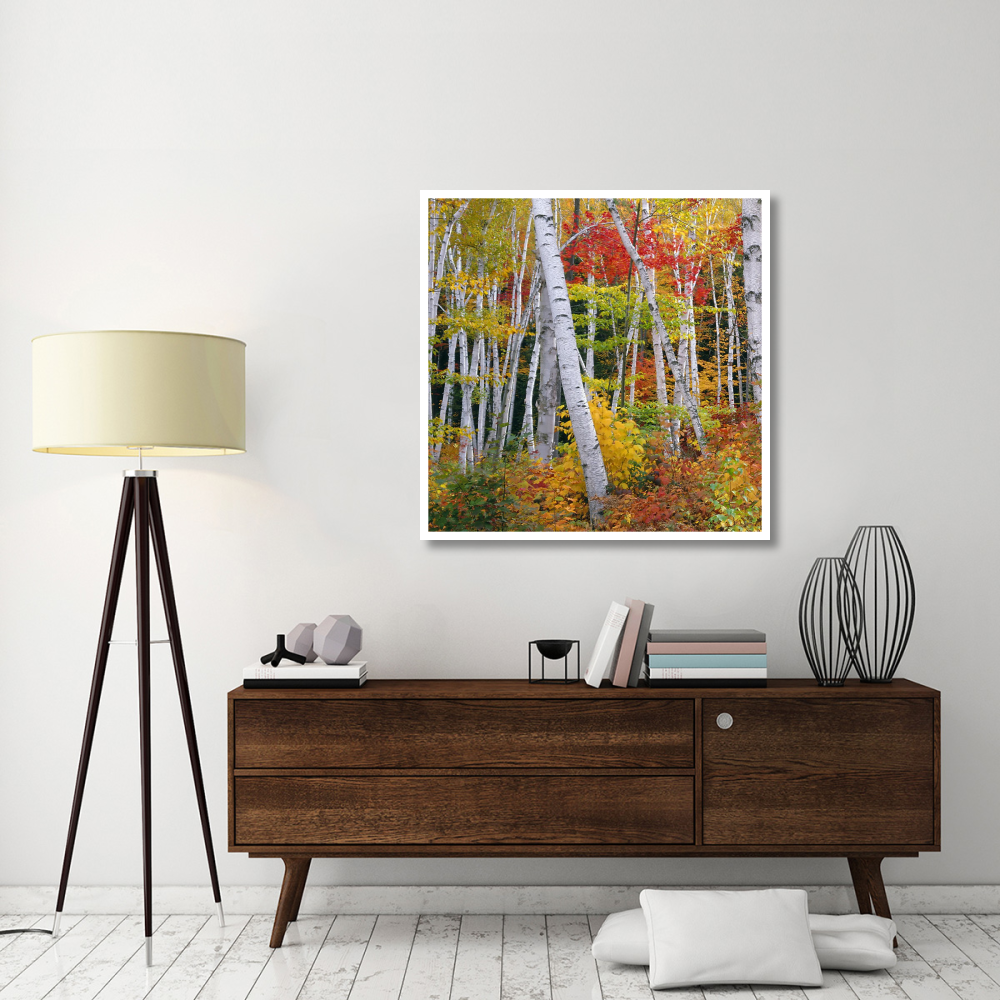 Autumn in Shelburne Forest - Triptych Left-Paper Art-42&quotx42"