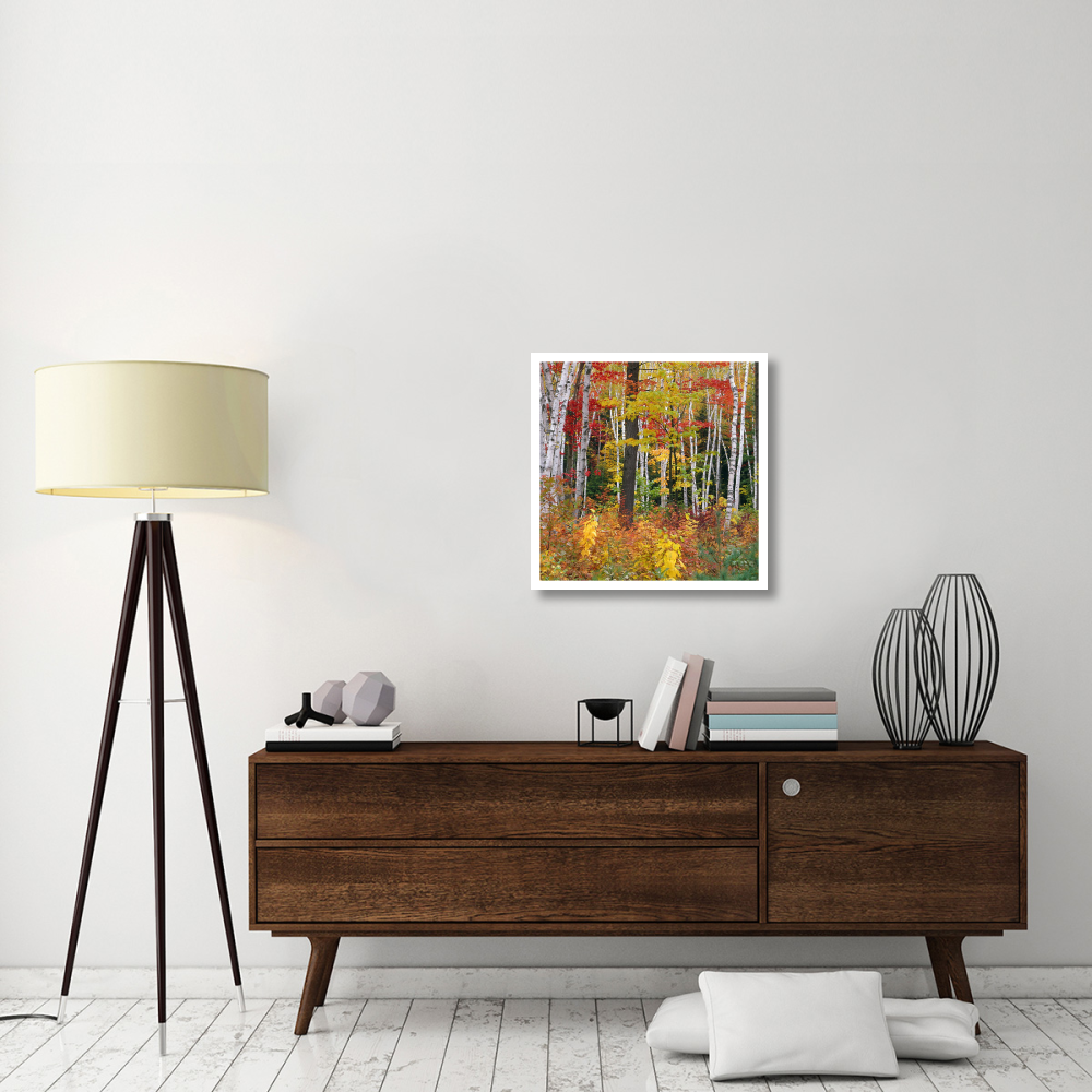 Autumn in Shelburne Forest - Triptych Center-Paper Art-26&quotx26"