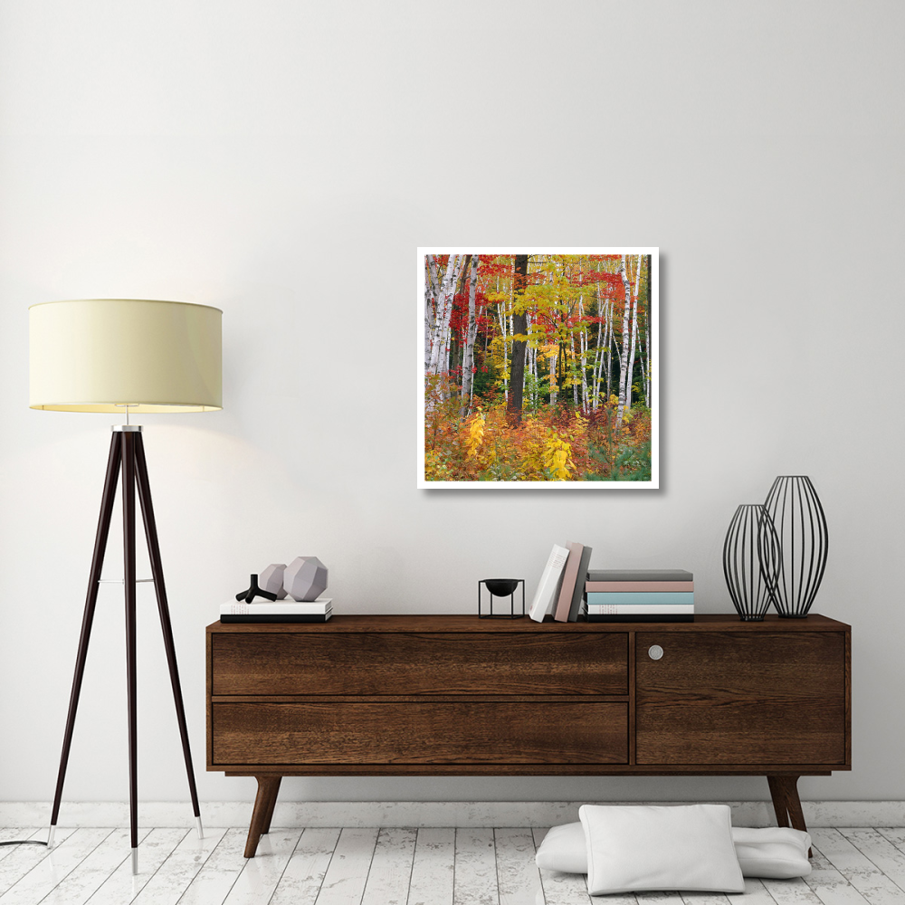 Autumn in Shelburne Forest - Triptych Center-Paper Art-32&quotx32"
