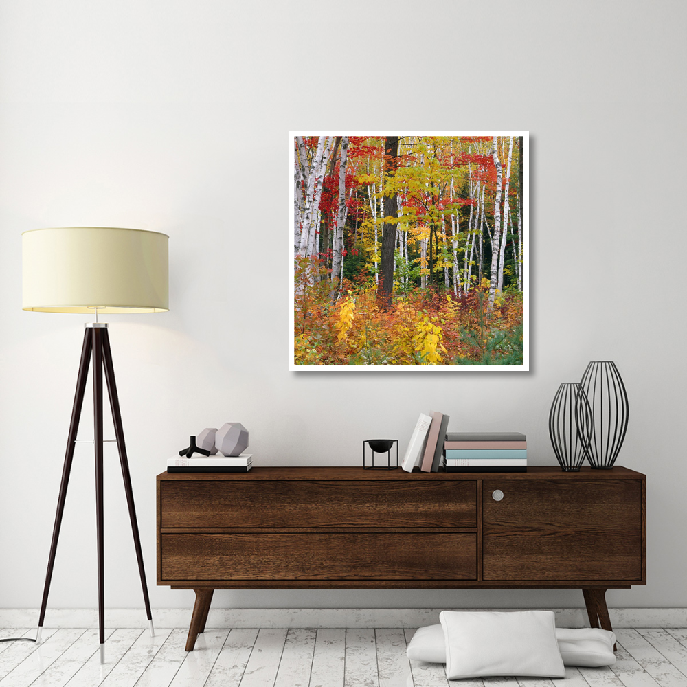 Autumn in Shelburne Forest - Triptych Center-Paper Art-42&quotx42"