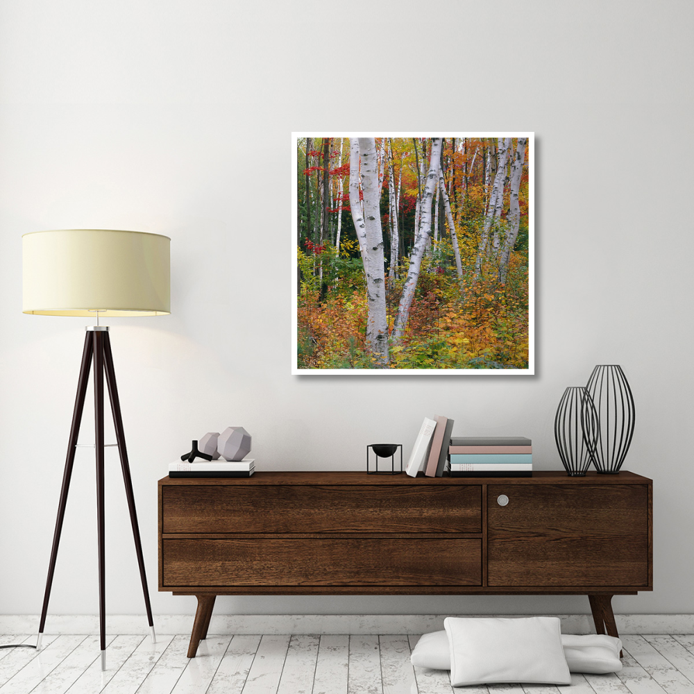 Autumn in Shelburne Forest - Triptych Right-Paper Art-42&quotx42"