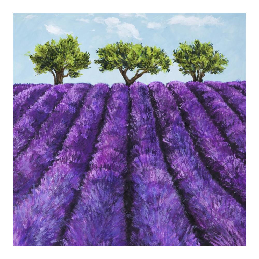Filari di lavanda-Paper Art-20"x20"