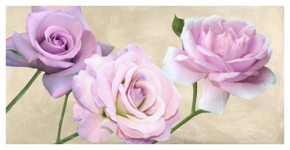 Rose classiche-Paper Art-50"x26"