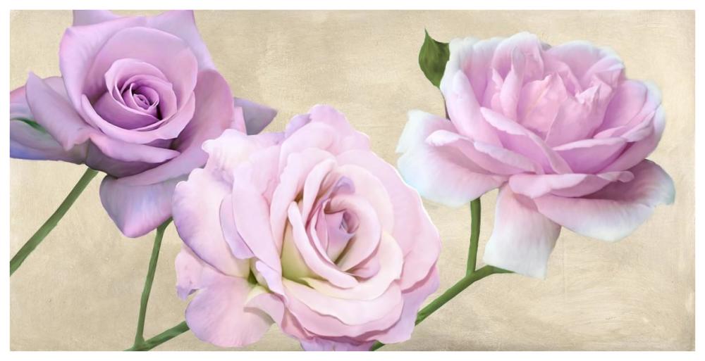 Rose classiche-Paper Art-74"x38"